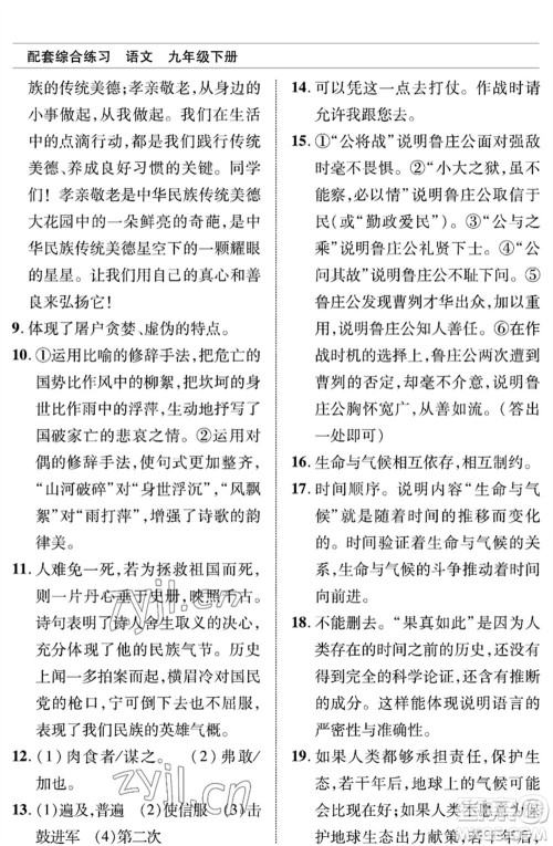 北京师范大学出版社2023语文配套综合练习九年级下册人教版参考答案 北京师范大学出版社2023语文配套综合练习九年级下册人教版参考答案