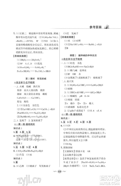 甘肃文化出版社2023化学配套综合练习九年级下册人教版参考答案