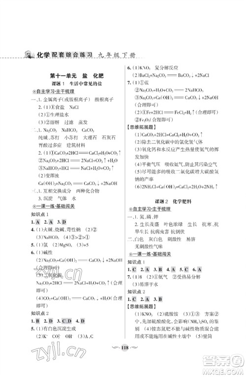 甘肃文化出版社2023化学配套综合练习九年级下册人教版参考答案