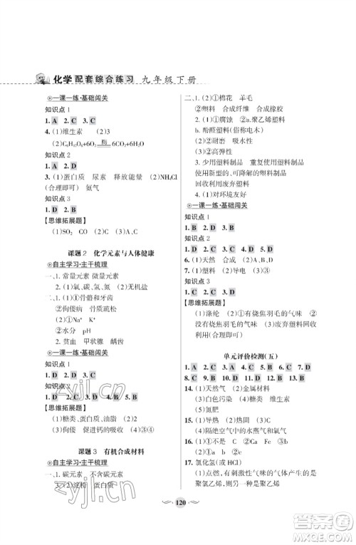 甘肃文化出版社2023化学配套综合练习九年级下册人教版参考答案