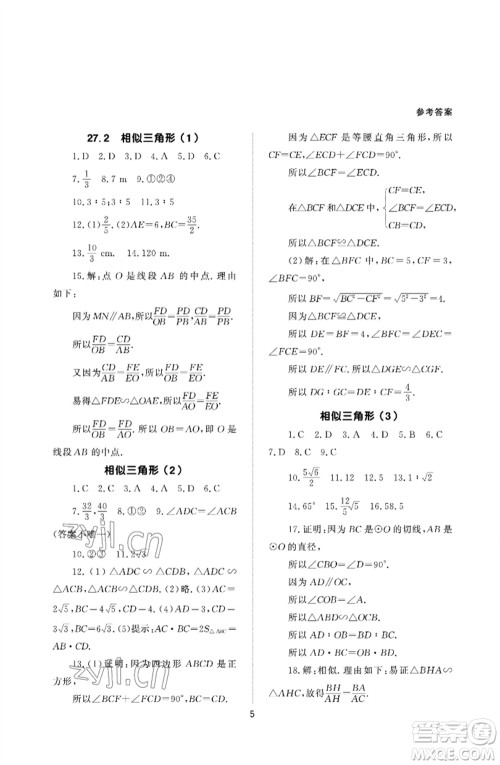 北京师范大学出版社2023数学配套综合练习九年级下册人教版参考答案