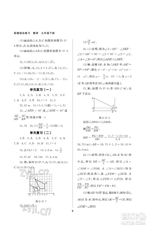 北京师范大学出版社2023数学配套综合练习九年级下册人教版参考答案