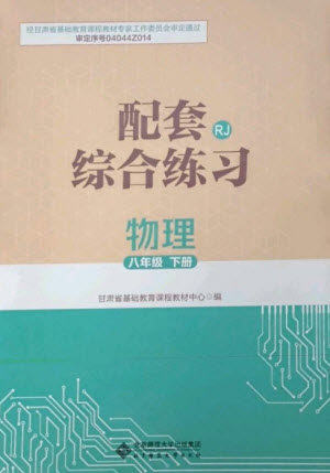 北京师范大学出版社2023物理配套综合练习八年级下册人教版参考答案