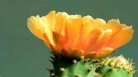 你要信任你自己依赖自己从自身汲取力量材料作文800字