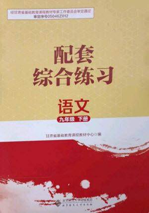 北京师范大学出版社2023语文配套综合练习九年级下册人教版参考答案 北京师范大学出版社2023语文配套综合练习九年级下册人教版参考答案
