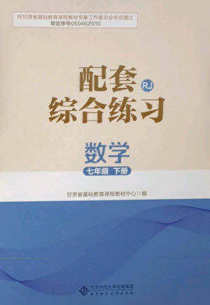 北京师范大学出版社2023数学配套综合练习七年级下册人教版参考答案