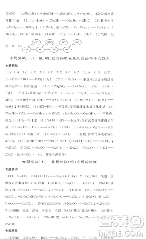 四川大学出版社2023名校课堂内外九年级化学下册人教版答案