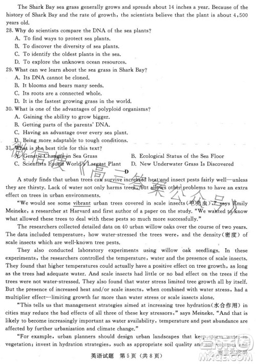 2023届普通高等学校招生全国统一考试青桐鸣大联考2月高三英语试卷答案