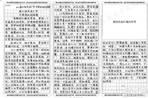 这一年我们似乎有很多等待材料作文800字 关于这一年我们似乎有很多等待的材料作文800字