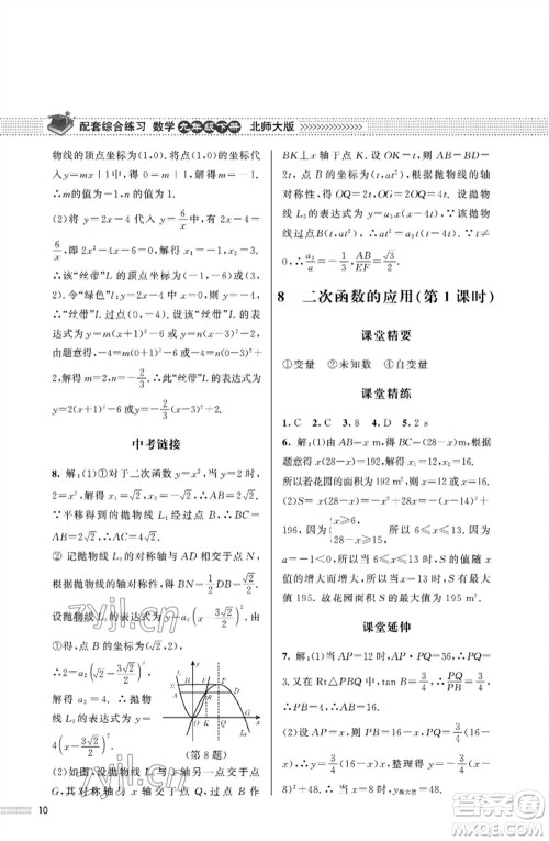 北京师范大学出版社2023数学配套综合练习九年级下册北师大版参考答案