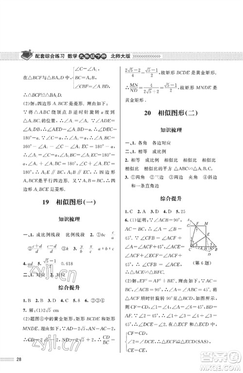 北京师范大学出版社2023数学配套综合练习九年级下册北师大版参考答案