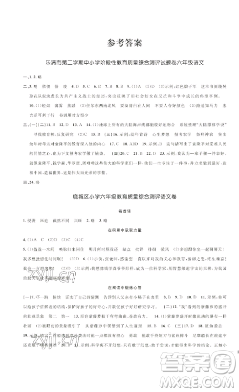 江西教育出版社2023阳光同学一线名师全优好卷六年级语文下册人教版浙江专版