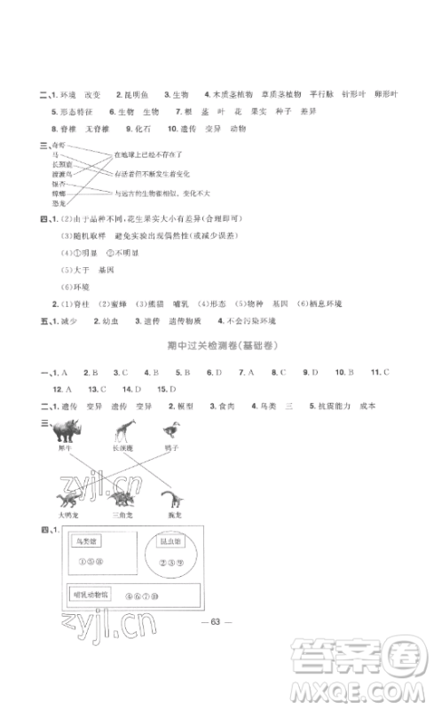 江西教育出版社2023阳光同学一线名师全优好卷六年级科学下册教科版参考答案