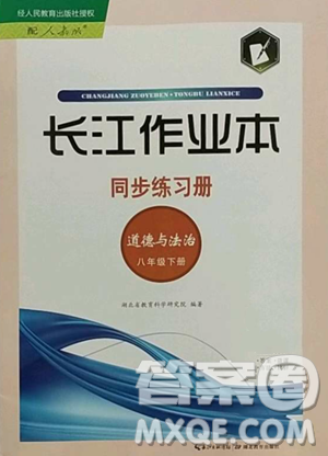 湖北教育出版社2023长江作业本同步练习册八年级道德与法治下册人教版参考答案 湖北教育出版社2023长江作业本同步练习册八年级道德与法治下册人教版参考答案