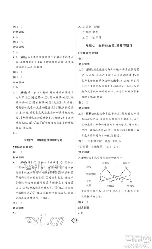 延边教育出版社2023最新版优+学案赢在中考生物讲练版鲁教版54学制答案