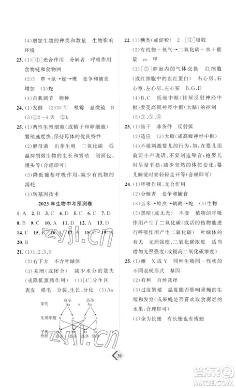 延边教育出版社2023最新版优+学案赢在中考生物讲练版潍坊专用版答案