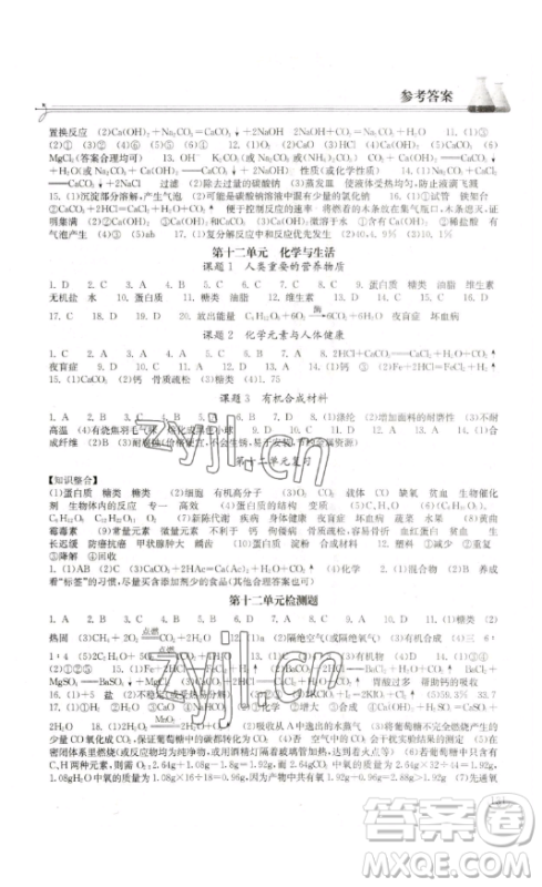 湖北教育出版社2023长江作业本同步练习册九年级化学下册人教版参考答案