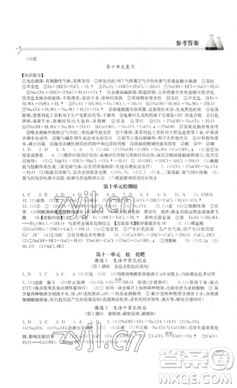 湖北教育出版社2023长江作业本同步练习册九年级化学下册人教版参考答案