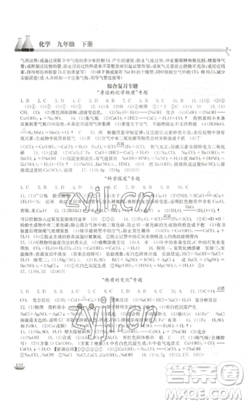 湖北教育出版社2023长江作业本同步练习册九年级化学下册人教版参考答案