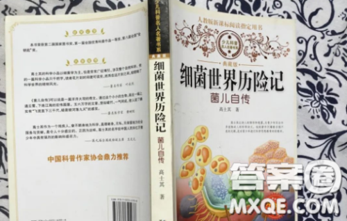 细菌世界历险记读后感600字 关于细菌世界历险记的读后感600字