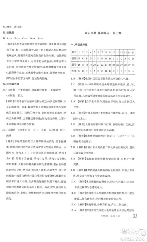 新疆青少年出版社2023优学1+1评价与测试七年级生物下册人教版答案