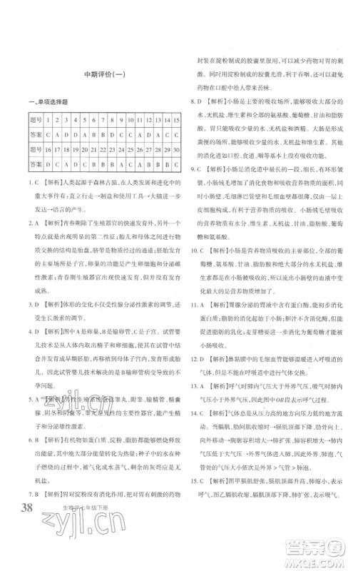新疆青少年出版社2023优学1+1评价与测试七年级生物下册人教版答案