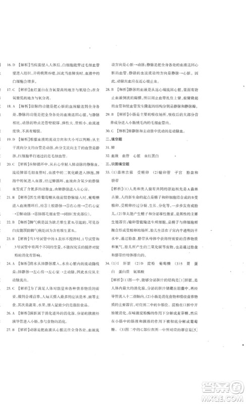 新疆青少年出版社2023优学1+1评价与测试七年级生物下册人教版答案