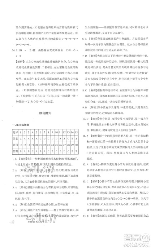 新疆青少年出版社2023优学1+1评价与测试七年级生物下册人教版答案