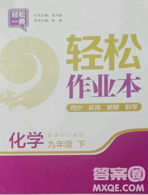 延边大学出版社2023轻松一典轻松作业本九年级化学下册沪教版答案 延边大学出版社2023轻松一典轻松作业本九年级化学下册沪教版答案