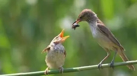 我曾忘却的爱作文600字 以我曾忘却的爱为题作文600字 我曾忘却的爱作文600字 以我曾忘却的爱为题作文600字