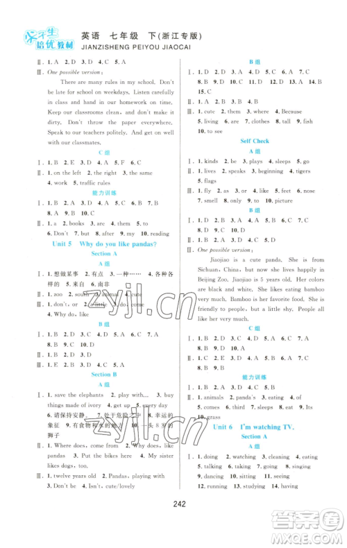 华东师范大学出版社2023尖子生培优教材七年级英语下册人教版浙江专版参考答案