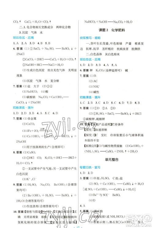 人民教育出版社2023初中同步测控优化设计九年级化学下册人教版参考答案