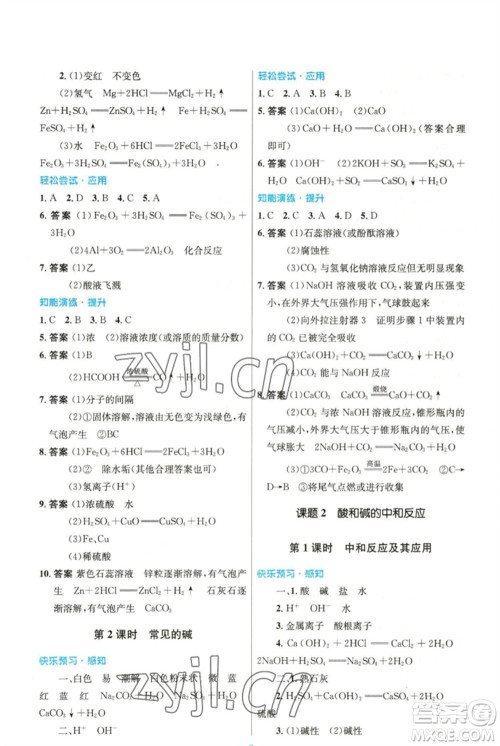 人民教育出版社2023初中同步测控优化设计九年级化学下册人教版参考答案