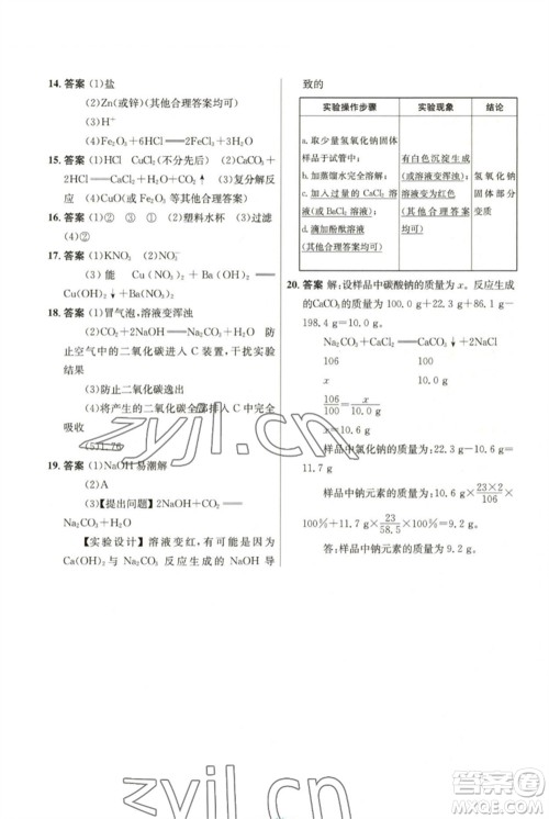 人民教育出版社2023初中同步测控优化设计九年级化学下册人教版参考答案
