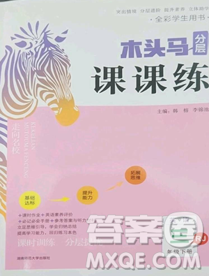 湖南师范大学出版社2023木头马分层课课练三年级英语下册部编版福建专版参考答案