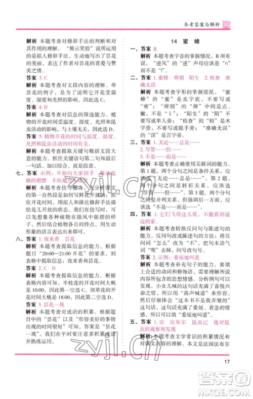 湖南师范大学出版社2023木头马分层课课练三年级语文下册部编版福建专版参考答案 湖南师范大学出版社2023木头马分层课课练三年级语文下册部编版福建专版参考答案