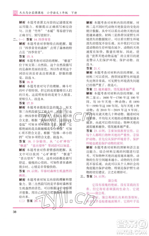 湖南师范大学出版社2023木头马分层课课练三年级语文下册部编版福建专版参考答案 湖南师范大学出版社2023木头马分层课课练三年级语文下册部编版福建专版参考答案