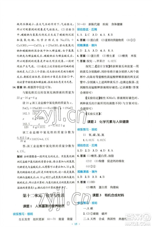 人民教育出版社2023初中同步测控优化设计九年级化学下册人教版精编版参考答案