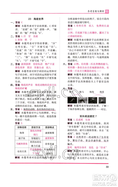 湖南师范大学出版社2023木头马分层课课练三年级语文下册人教版浙江专版参考答案