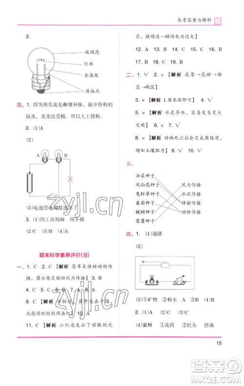湖南师范大学出版社2023木头马分层课课练四年级科学下册教科版参考答案