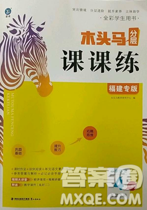 湖南师范大学出版社2023木头马分层课课练四年级语文下册部编版福建专版参考答案