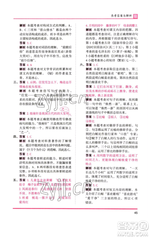 湖南师范大学出版社2023木头马分层课课练四年级语文下册人教版浙江专版参考答案 湖南师范大学出版社2023木头马分层课课练四年级语文下册人教版浙江专版参考答案