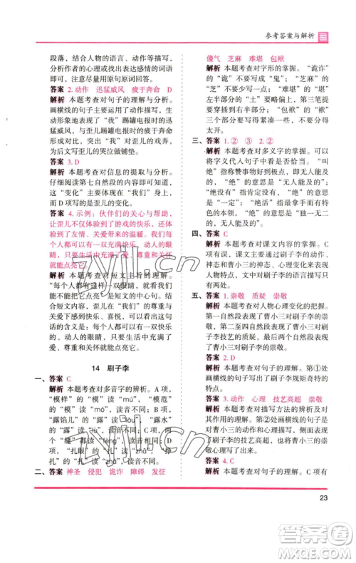 湖南师范大学出版社2023木头马分层课课练五年级语文下册人教版浙江专版参考答案