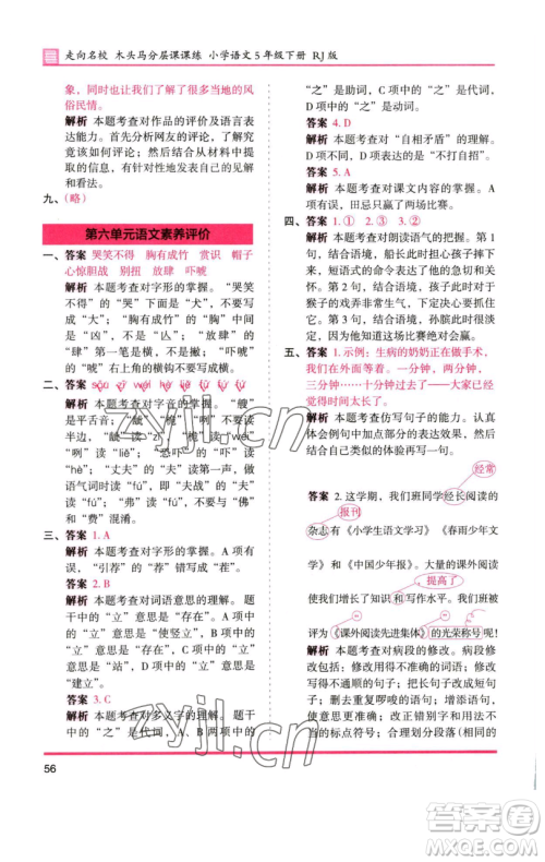 湖南师范大学出版社2023木头马分层课课练五年级语文下册人教版浙江专版参考答案