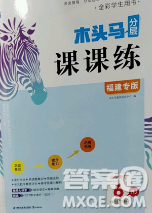 湖南师范大学出版社2023木头马分层课课练六年级数学下册人教版福建专版参考答案