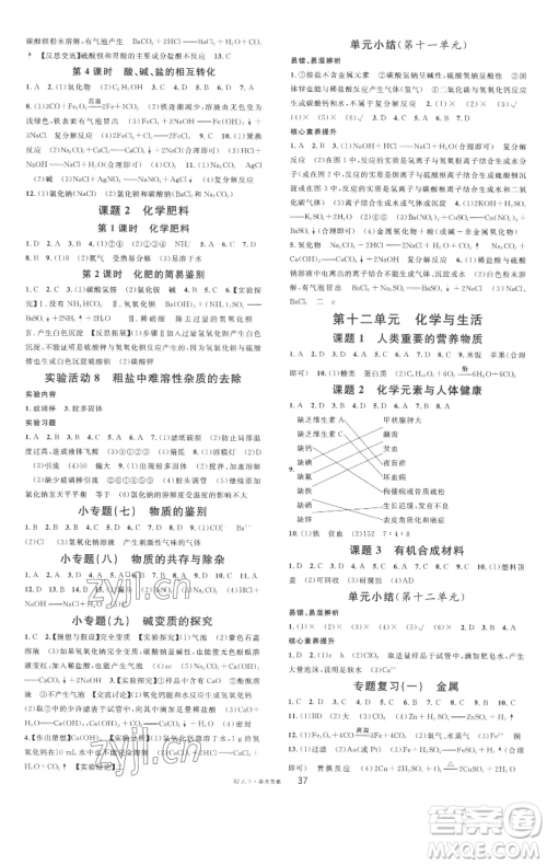 开明出版社2023名校课堂九年级化学下册人教版参考答案