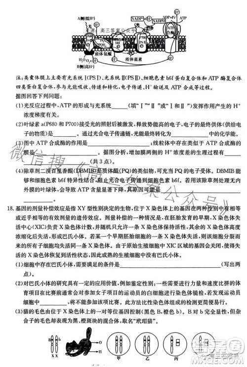 湖南省2023届高三九校联盟第二次联考生物学答案