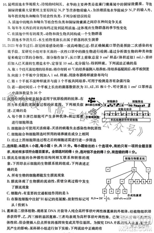 湖南省2023届高三九校联盟第二次联考生物学答案