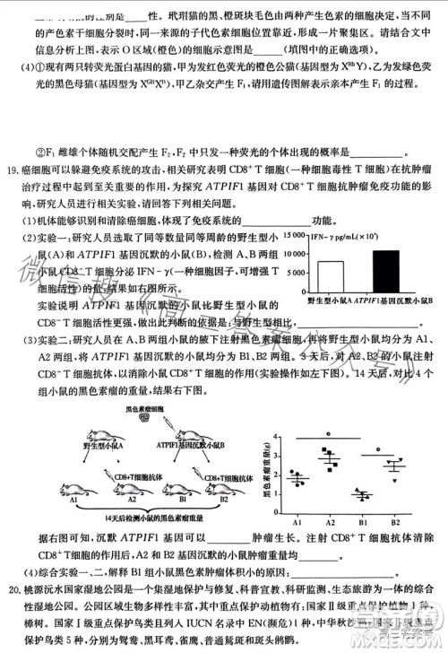 湖南省2023届高三九校联盟第二次联考生物学答案