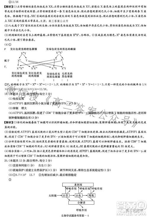 湖南省2023届高三九校联盟第二次联考生物学答案